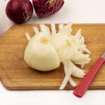 onion complements tomato and vinegar salad