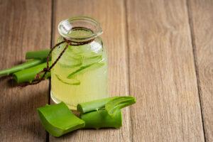 aloe vera is great for gastrointestinal function and integrity