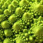 think of your gut as a garden to develop healthy habits