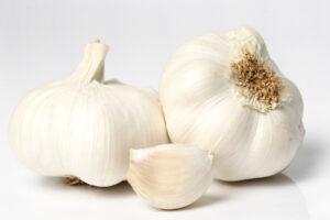 garlic is for candida yeast infection treatment