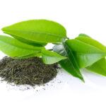 green tea is one of the natural remedies for stress and anxiety